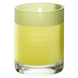 Multum Brun Medio Candela - Nightingale Song ryhm�ss� Smultronii @ Ask�s Testmilj� 1 (B000249)